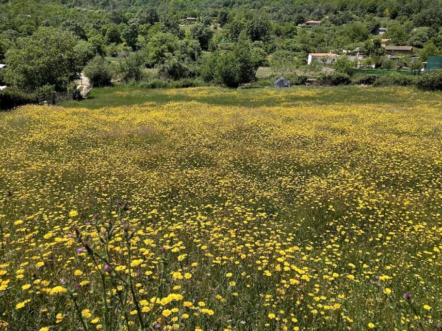 Atico Mirador Del Pielago El Real de San Vicente ภายนอก รูปภาพ